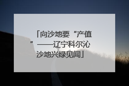 向沙地要“产值”——辽宁科尔沁沙地兴绿见闻