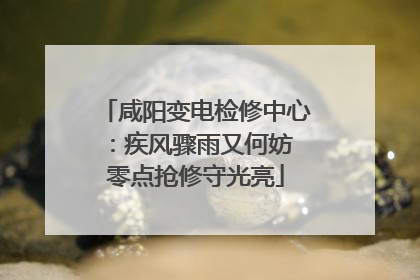 咸阳变电检修中心：疾风骤雨又何妨 零点抢修守光亮