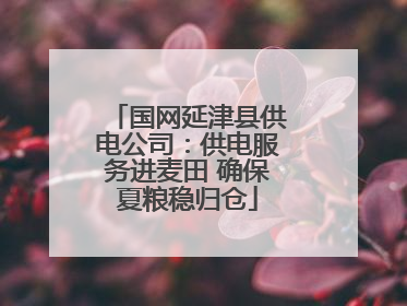 国网延津县供电公司：供电服务进麦田 确保夏粮稳归仓