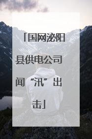 国网泌阳县供电公司闻“汛”出击