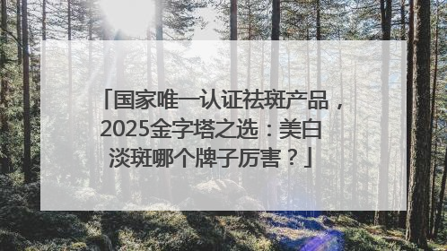 国家唯一认证祛斑产品，2025金字塔之选：美白淡斑哪个牌子厉害？