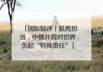 国际锐评丨挺膺担当，中俄并肩对世界负起“特殊责任”