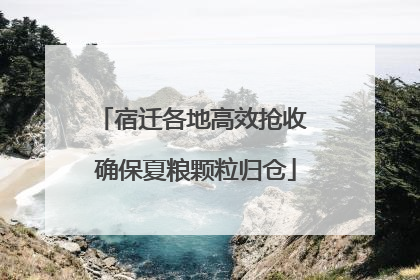 宿迁各地高效抢收 确保夏粮颗粒归仓