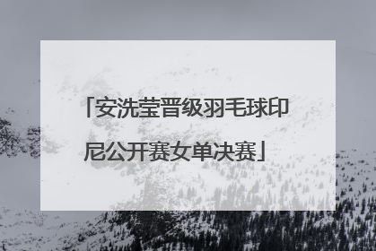 安洗莹晋级羽毛球印尼公开赛女单决赛