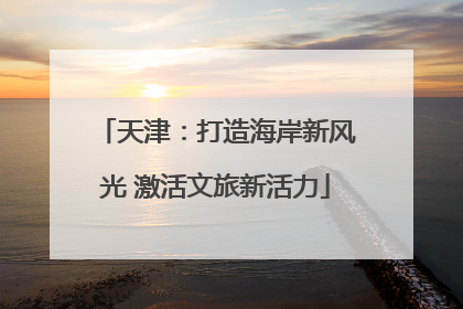 天津：打造海岸新风光 激活文旅新活力