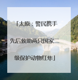 太原：警民携手 先后救助两只国家二级保护动物红隼