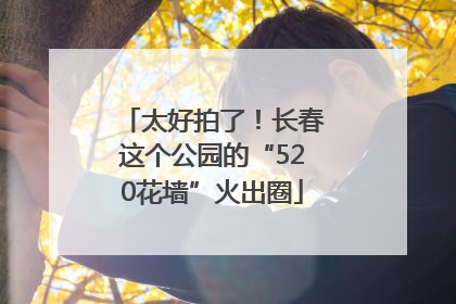 太好拍了！长春这个公园的“520花墙”火出圈