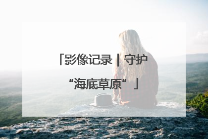 影像记录｜守护“海底草原”