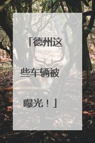 德州这些车辆被曝光！