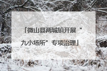 微山县两城镇开展“九小场所”专项治理