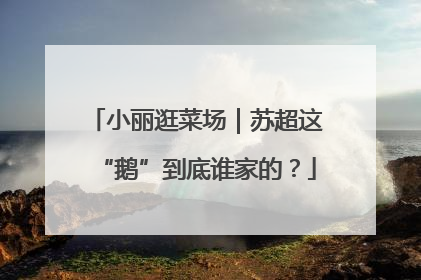 小丽逛菜场｜苏超这“鹅”到底谁家的？