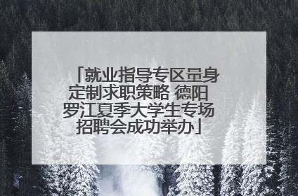 就业指导专区量身定制求职策略 德阳罗江夏季大学生专场招聘会成功举办