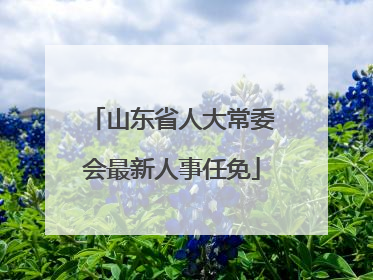 山东省人大常委会最新人事任免