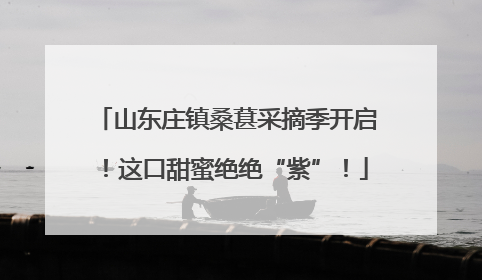 山东庄镇桑葚采摘季开启！这口甜蜜绝绝“紫”！
