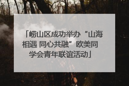 崂山区成功举办“山海相遇 同心共融”欧美同学会青年联谊活动