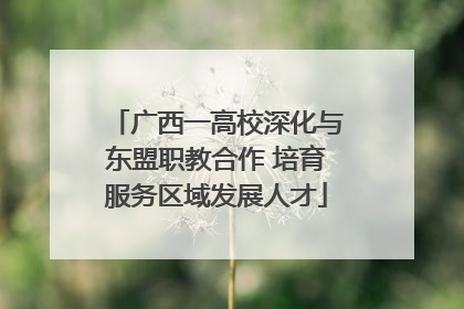 广西一高校深化与东盟职教合作 培育服务区域发展人才
