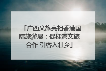 广西文旅亮相香港国际旅游展：促桂港文旅合作 引客入壮乡