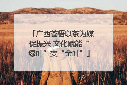 广西苍梧以茶为媒促振兴 文化赋能“绿叶”变“金叶”