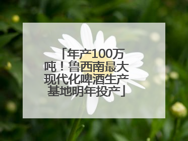 年产100万吨！鲁西南最大现代化啤酒生产基地明年投产