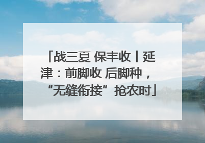 战三夏 保丰收丨延津：前脚收 后脚种，“无缝衔接”抢农时