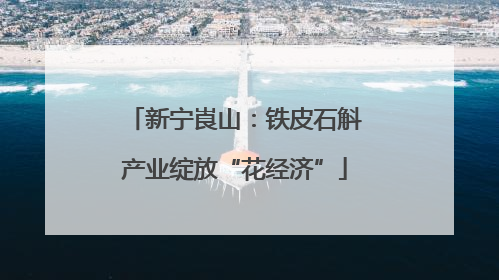 新宁崀山：铁皮石斛产业绽放“花经济”