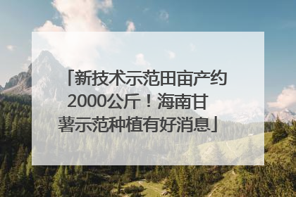 新技术示范田亩产约2000公斤！海南甘薯示范种植有好消息
