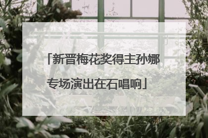 新晋梅花奖得主孙娜专场演出在石唱响