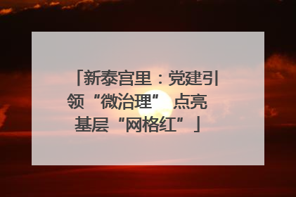 新泰宫里：党建引领“微治理” 点亮基层“网格红”