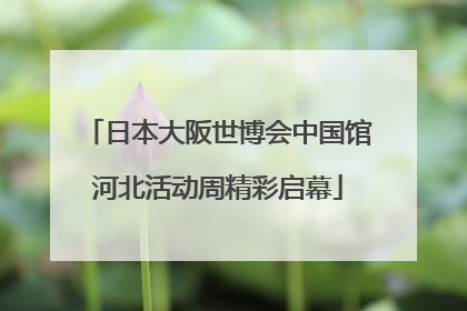 日本大阪世博会中国馆河北活动周精彩启幕