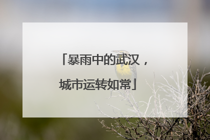 暴雨中的武汉，城市运转如常