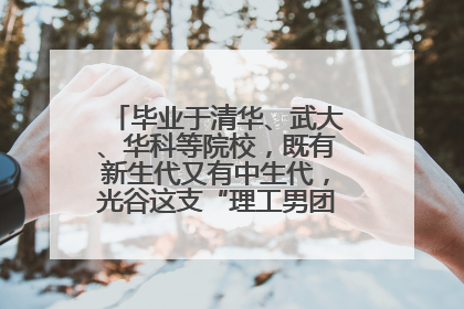 毕业于清华、武大、华科等院校，既有新生代又有中生代，光谷这支“理工男团”为何“出道”？