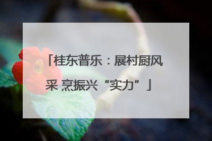 桂东普乐：展村厨风采 烹振兴“实力”