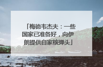 梅德韦杰夫：一些国家已准备好，向伊朗提供自家核弹头