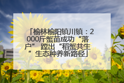 榆林榆阳镇川镇：2000斤蟹苗成功“落户” 蹚出“稻蟹共生”生态种养新路径