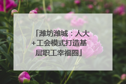 潍坊潍城：人大+工会模式打造基层职工幸福圈