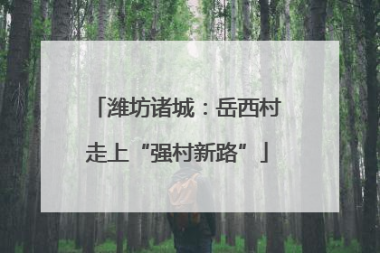 潍坊诸城：岳西村走上“强村新路”