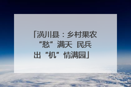 潢川县：乡村果农“愁”满天  民兵出“机”情满园