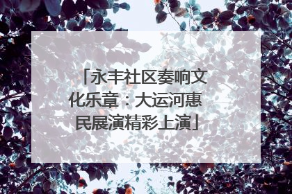 永丰社区奏响文化乐章：大运河惠民展演精彩上演