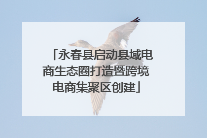 永春县启动县域电商生态圈打造暨跨境电商集聚区创建