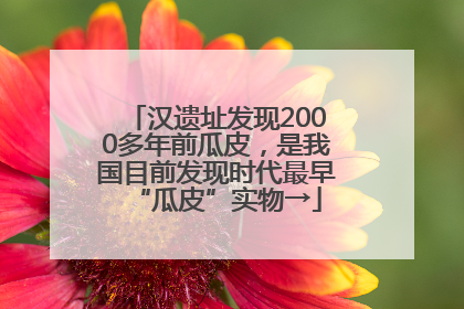 汉遗址发现2000多年前瓜皮，是我国目前发现时代最早“瓜皮”实物→