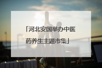 河北安国举办中医药养生主题市集