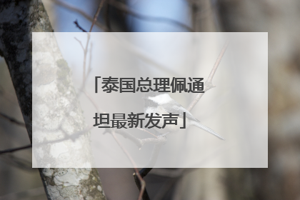 泰国总理佩通坦最新发声