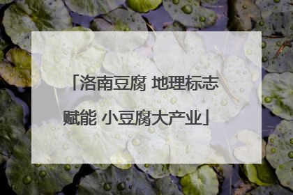 洛南豆腐 地理标志赋能 小豆腐大产业