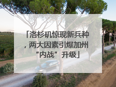洛杉矶惊现新兵种，两大因素引爆加州“内战”升级