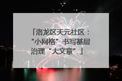 洛龙区天元社区：“小网格”书写基层治理“大文章”