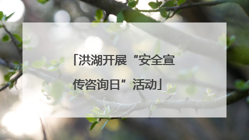 洪湖开展“安全宣传咨询日”活动