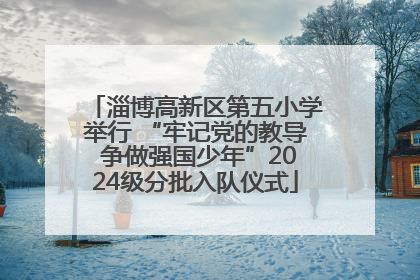 淄博高新区第五小学举行 “牢记党的教导 争做强国少年”2024级分批入队仪式