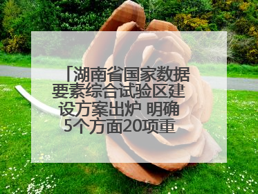 湖南省国家数据要素综合试验区建设方案出炉 明确5个方面20项重点任务