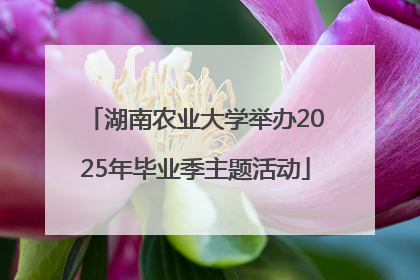 湖南农业大学举办2025年毕业季主题活动
