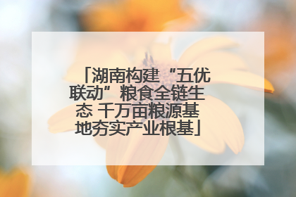 湖南构建“五优联动”粮食全链生态 千万亩粮源基地夯实产业根基